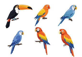 Vibrant Collection of Tropical Birds Toucan and Parrots