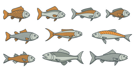 Collection of Nine Stylized Fish Illustrations with Orange and Gray Hues