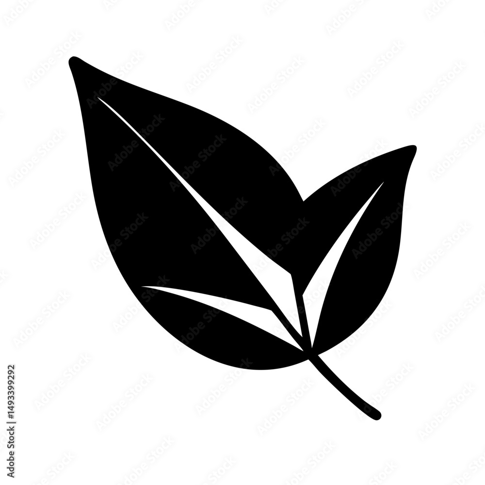 Poster leaf on transparent background for web and graphic design