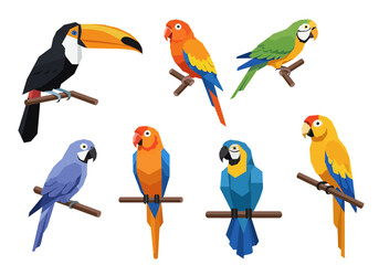 Obraz premium Colorful Geometric Tropical Birds on Branches