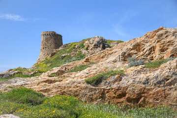 Corse ile rousse tour genoise
