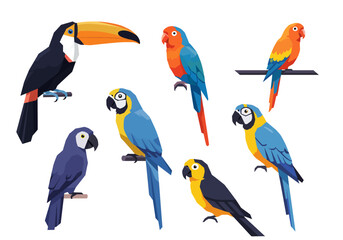 Naklejka premium Colorful Vector Illustrations of Various Tropical Birds with Unique Plumage and Beaks