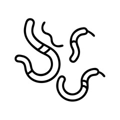 Fototapeta premium Intestinal parasites or worms on transparent background for web and graphic design