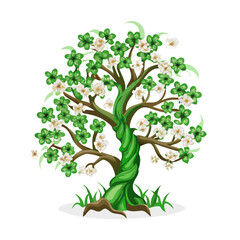 Big Narra Tree Clipart