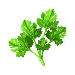 Cilantro Silhouette