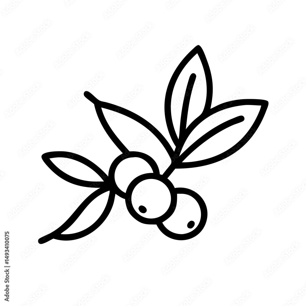 Poster mixed leaves berries naturalistic style with outline on transparent background for web and graphic d