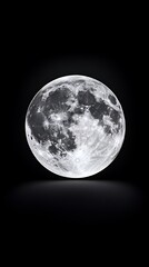 Obraz premium 闇夜に浮かぶ静寂