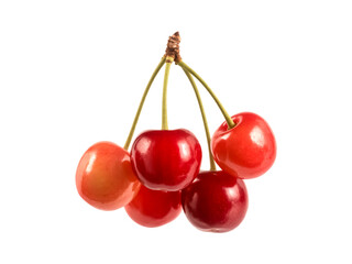 A cluster of bush cherries isolated on white background glossy red fruit natural group
