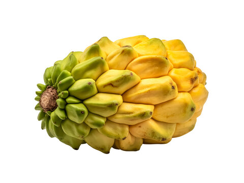 A whole monkey jack fruit isolated on white background fibrous pulp rustic tone