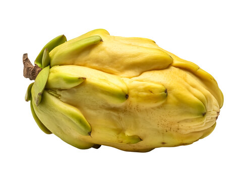 A whole monkey jack fruit isolated on white background fibrous pulp rustic tone