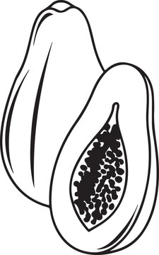 recommend clip art: Papaya line art vector