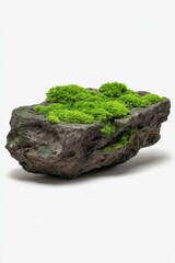 Close up studio shot of dark rock covered with bright green moss on white background nature and environment concept