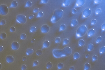 Water drops side lit and glowing blue