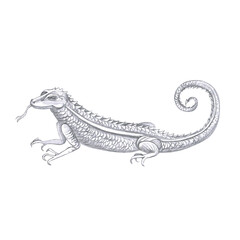 Fantasy dragon side view. Isolated pencil illustration of a fairy lizard for halloween card design, books, poster and clothing printing