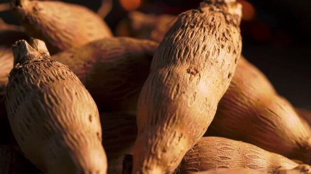 Close Up Shot Of Pile Fresh Harvested Taro Roots