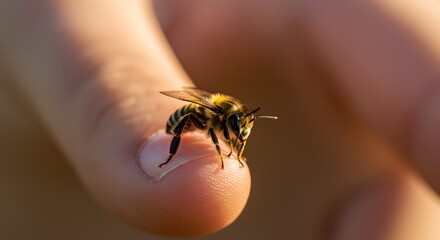 Bee on Finger