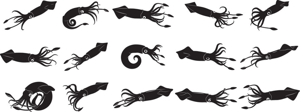 Squid silhouette vector graphics collection ocean animal illustration seafood design elements isolated set