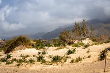Krajobraz nadmorski z widoczną nadmorska roślinnością, żółtym piaskiem, w tle chmury, w których toną góry. Ciepły, sielski klimat  