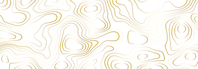 Abstract topographic map contour, white background and colorful wave lines pattern texture. geographic contour map grid backdrop paper texture. terrain path isolated on a background.