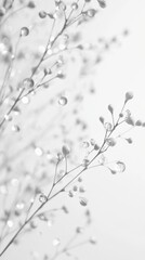 Delicate Branches with Water Droplets