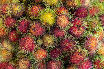 A vibrant collection of rambutan tropical fruits.