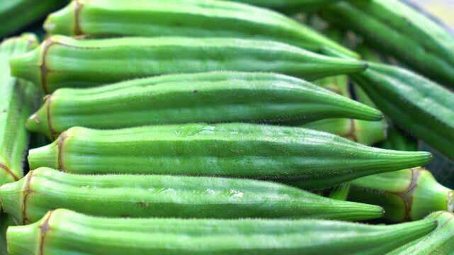 Fresh Green Okra Pile Displayed Beautifully In Market