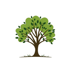A simple illustration of a green tree with a wide crown