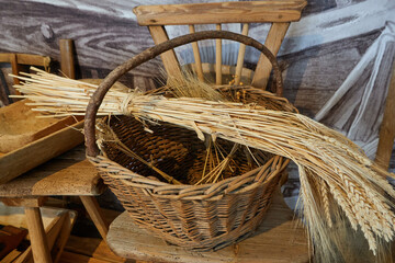 Rozmital pod Tremsinem, Czech Republic - March 22, 2025 - the Regional Museum - how was life in...