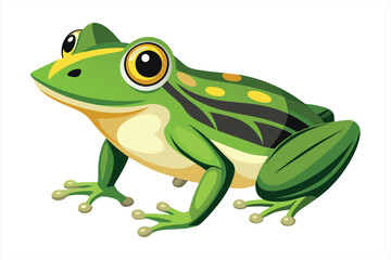 Cute Green Frog Cartoon Illustration