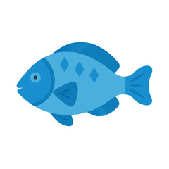 Stylized blue fish illustration on solid black background graphic