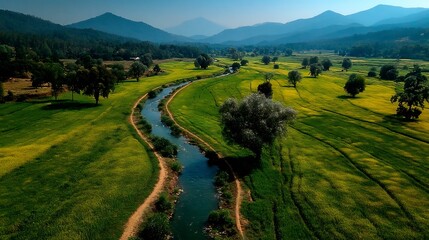 Obraz premium Ai assisted organic rice fields autonomous water management channels reducing fertilizer runoff and increasing biodiversity