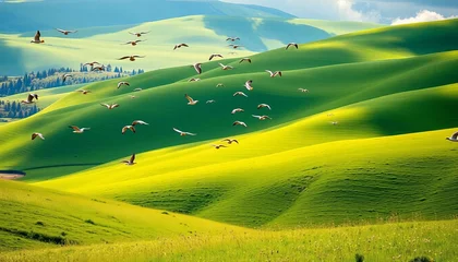 Gordijnen Spring hills, green meadows, bird flock flying over, summer landscape ,  freedom,  meadows © Bamphen
