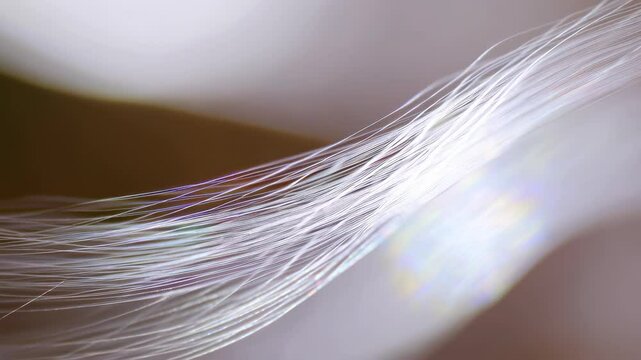 Abstract close-up of translucent white fibers arranged in parallel pattern with lens flare and bokeh effect, creating smooth textures