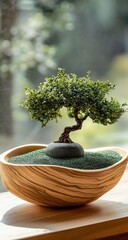 Bonsai Tree Indoor Windowsill.