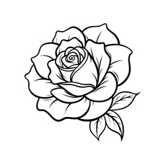 china rose line art vector silhouette