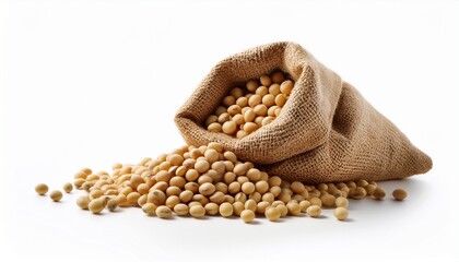 soybeans in sack isolated on white background