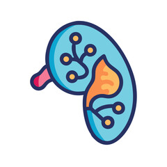 Kidney vector icon illustration in flat design style