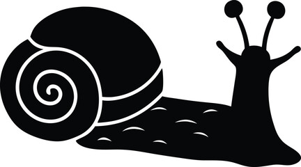 snail on a white background
