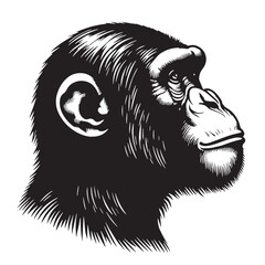Black Color Chimpanzee Silhouette Vector Illustration, Solid White Background. minimal vector design