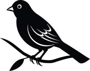 vector illustration of a bird