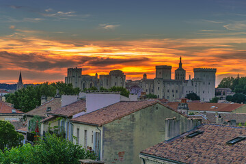 Located in Avignon, France, the Palais des Papes is showcased with its intricate details and grand...