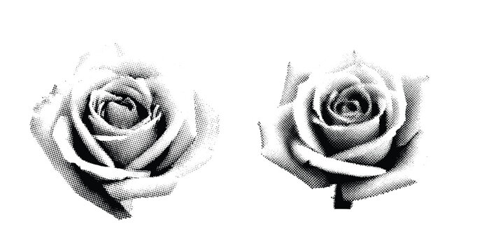 A halftone-style illustration of a human rose. The image is black and white with visible dot shading, mimicking a vintage comic book or pop art aesthetic. The background is plain white