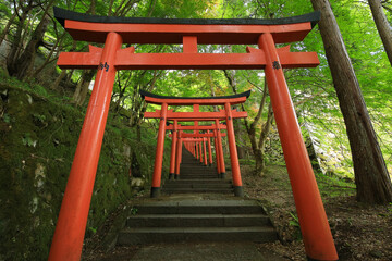 兵庫県勝岡市　有子山稲荷神社への道