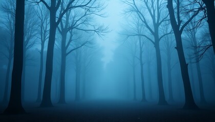 Obraz premium Foggy Forest Path