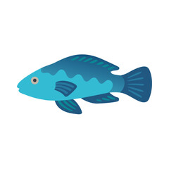 Isolated graphic illustration of stylized blue sea fish