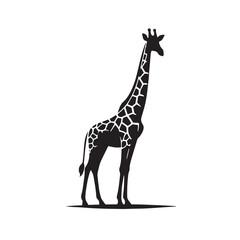 Black Color Giraffe Silhouette Vector Illustration, Solid White Background. minimal vector design