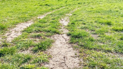 Dirty double tire tracks on green grass