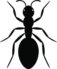 ant vector illustration