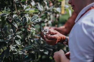 A young gardener with Down syndrome carefully pruning plants in a garden setting, showcasing...
