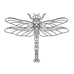dragonfly vector set
